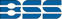 BSS Materialflussgruppe (Logo klein)
