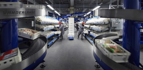 Kommissionierung aus dem Durchlaufregal bei Edeka Südwest Fleisch (Foto: Vanderlande Industries GmbH & Co. KG)



